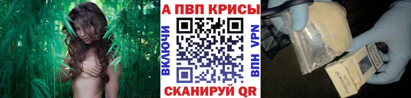 A-PVP СК  shop как зайти  Павловский Посад  ссылка на мегу ТОР 