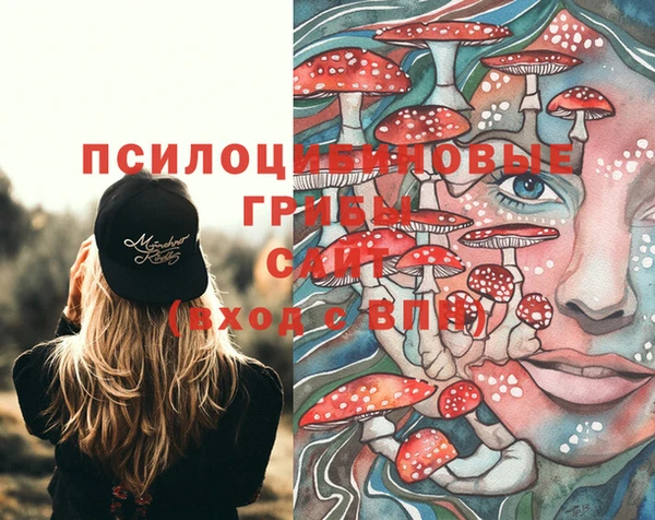 мескалин Медвежьегорск