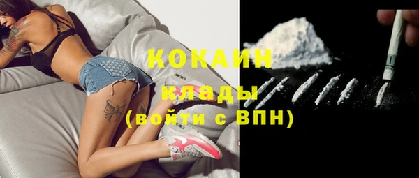 стаф Михайлов