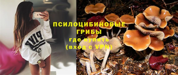 молекула духа Михайловка