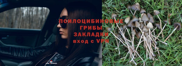 не бодяженный Мегион