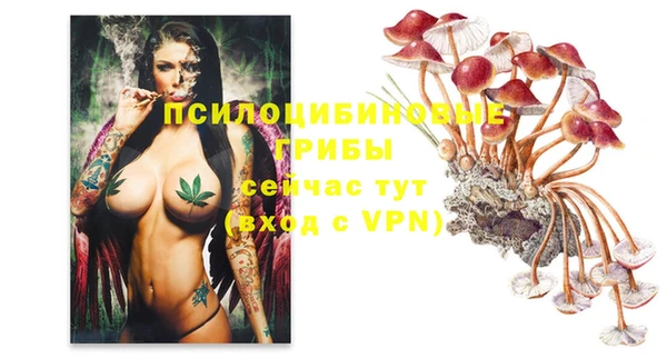 прущая мука Михайловск