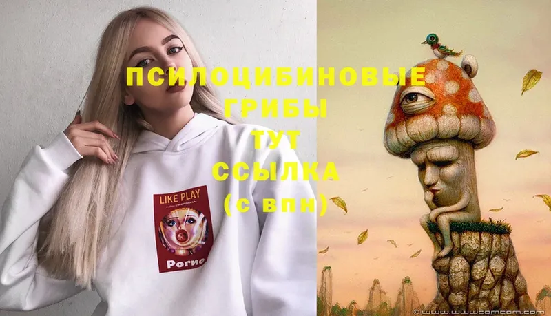 Галлюциногенные грибы GOLDEN TEACHER  Павловский Посад 